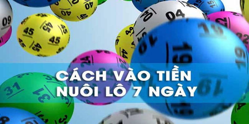 Nuôi Lô 7 Ngày – Bật Mí Kinh Nghiệm Đầu Tư Hiệu Quả - hình ảnh - dkuunxkpe.top