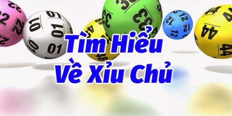 Xỉu Chủ Miền Bắc – 3 Cách Chơi Xỉu Chủ Dễ Trúng Nhất 2024 - hình ảnh - dkuunxkpe.top